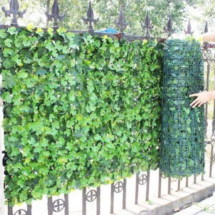 efeu preis Hecke am laufenden Meter® Efeu