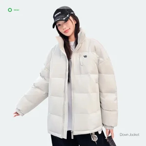 Custom Design Hooded Waterproof Windproof Breathable Fall/Winter Men's Casual Thick Coat Loose Fit Zipper 95% White Polyester