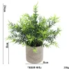 Rosemary without powder ahe372-068