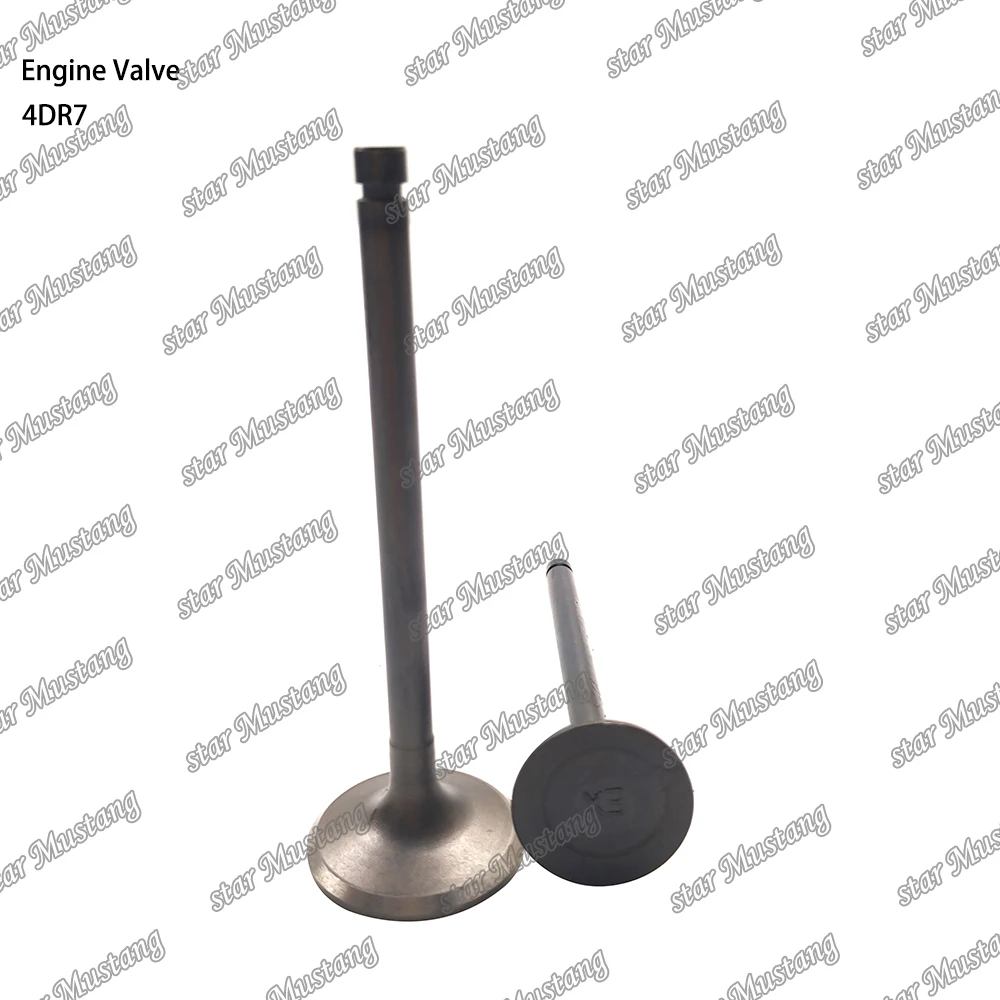 4DR7 Engine Valve Suitable for Mitsubishi Engine Parts