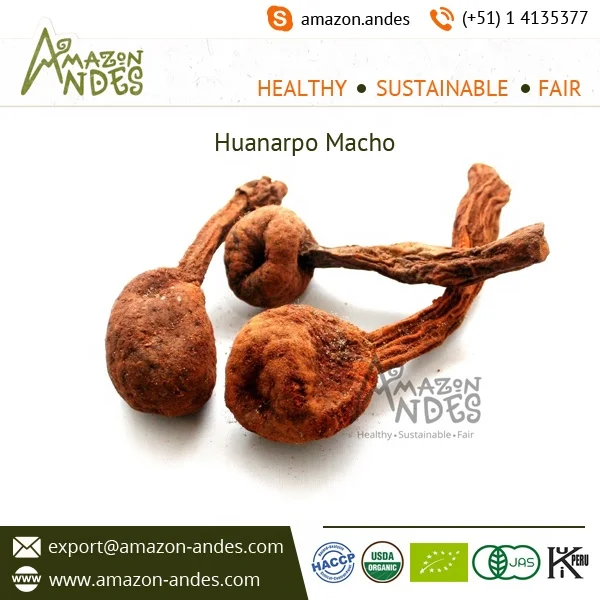 Pure and Prime Quality Powder of Huanarpo Macho at Lowest Price From Peru