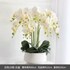 Bacino bianco con orchidea bianca