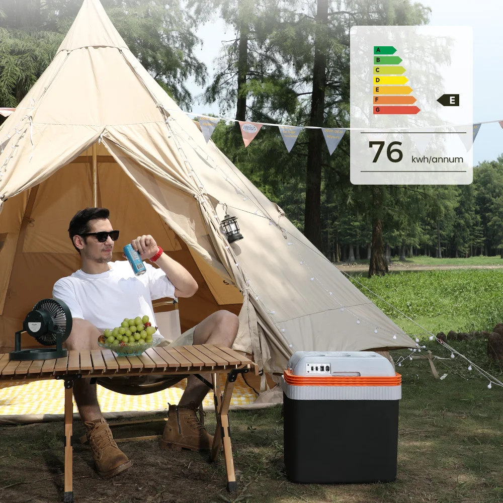 Evercool 24l Dc 12v Travelling Camping Mini Thermoelectric Cooler Warmer