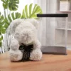 Flower bear + 40cm gift box