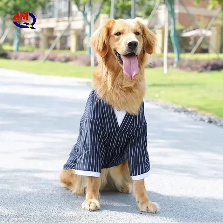 Clothes Golden Retriever  Dog Clothes Golden Retriever