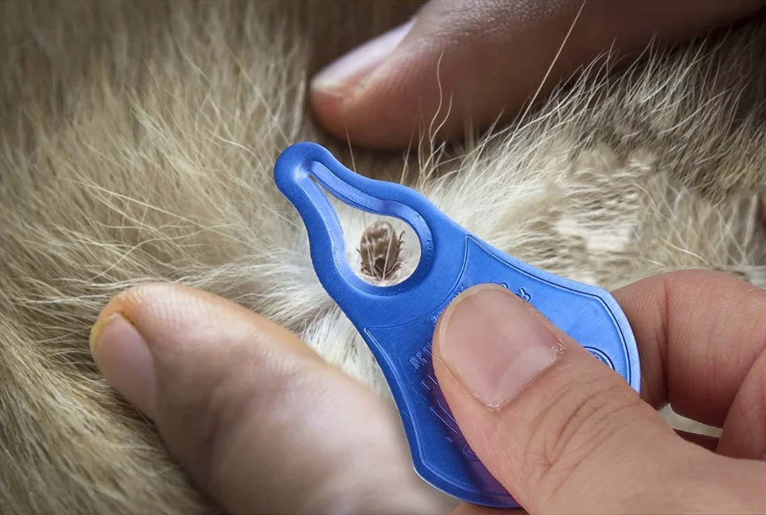 Tick Remover Tool Portable Tick Removal For Pet And Humans Safe And