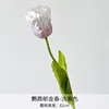 Tulipano pappagallo viola chiaro
