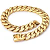 Gold dog collar 32mm