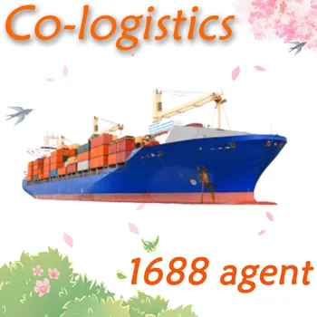 Cheap 40hc to New York sea shipping to USA from Qingdao Shanghai Ningbo DDP DDU FOB EXW agent best sea freight