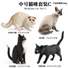 Coloridos 4 modelos de gatos de tamaño mediano de TB (juego C)