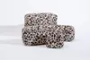 leopardo