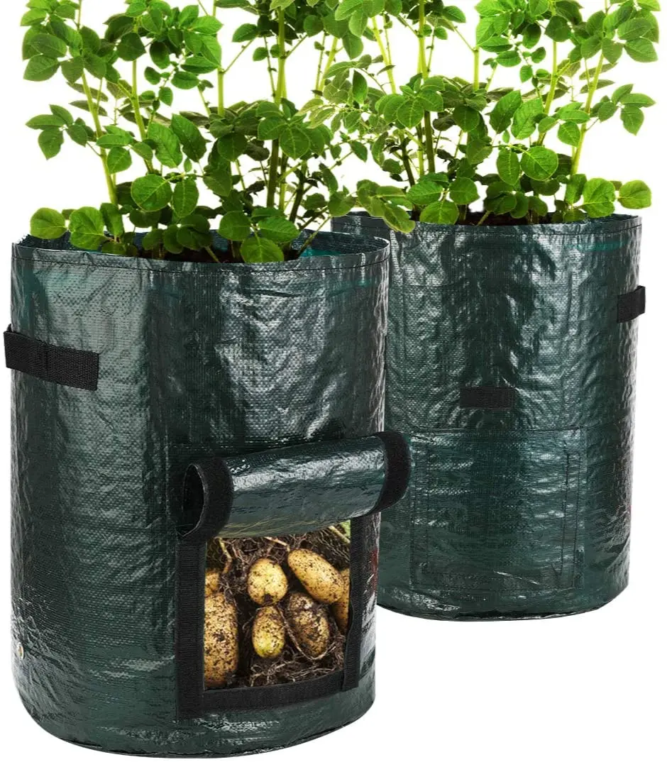 Fabric Grow Bags For Container Gardening