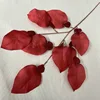 9 grapefruit leaves