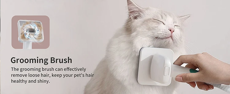 Nozzle head cleaning brush vacuum pet hair sofa carpet floor
