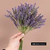 Morado oscuro