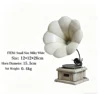 Small white size