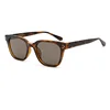 C5 bright tortoiseshell frametea gray lens