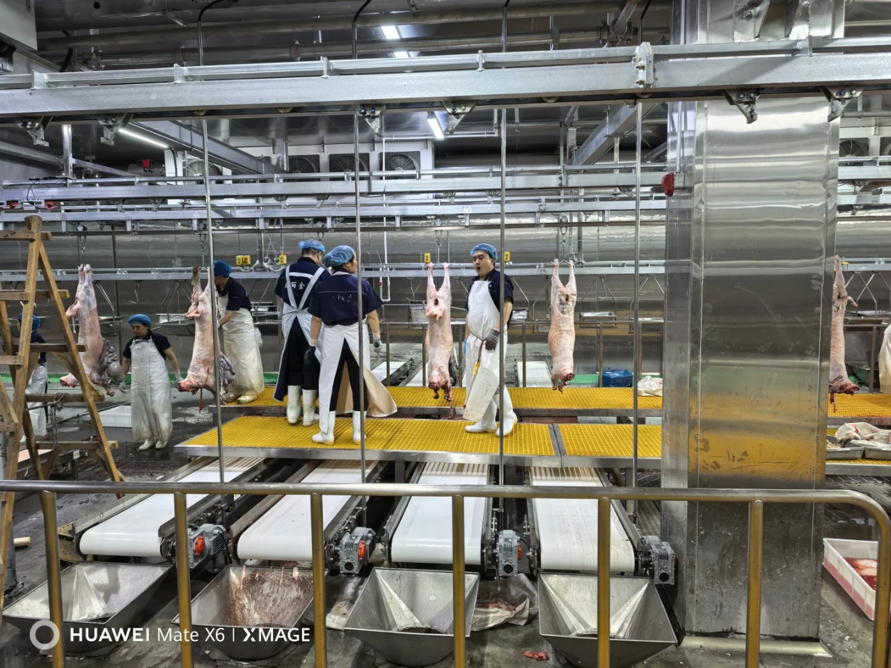Fully automatic sheep and goat slaughtering line equipped with high-efficiency motor core components for mutton processing
