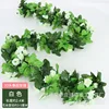 Spring style, 33 white rose vines
