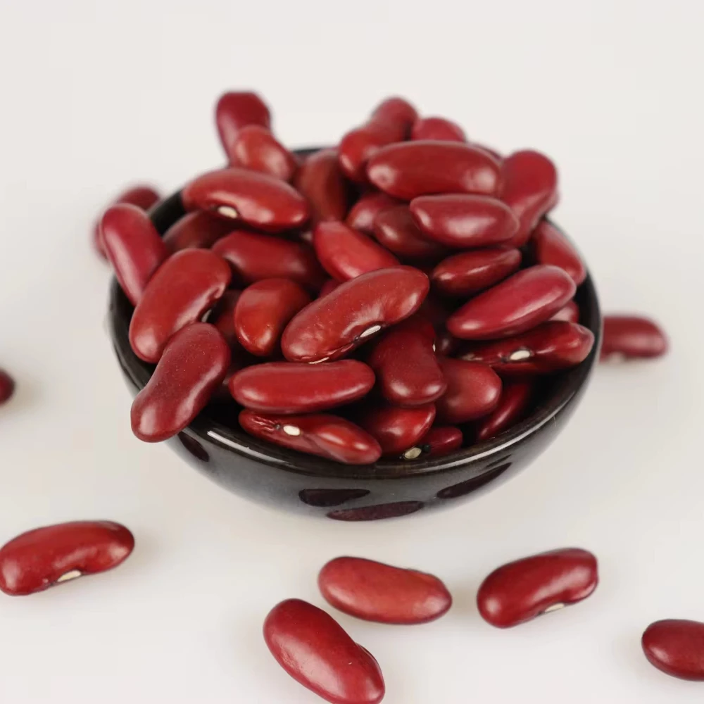 Factory Supplier IQF Bulk Green Beans Frozen Whole Green