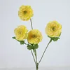 Jaune clair