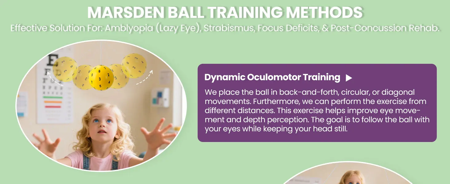 Marsden Ball Manual Training Ball Disinhibition Training Hand-eye-brain Coordination Perception Behavior Visual Training Ball