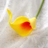 Orange heart yellow