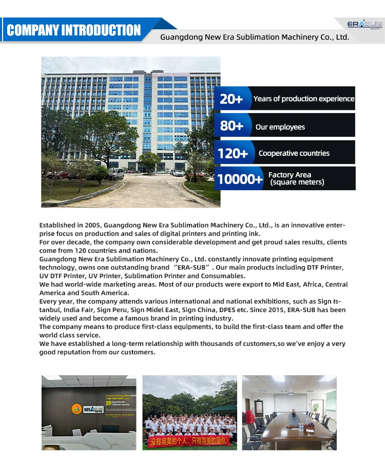 Company overview