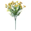 Eucalipto Amarillo de 7 Ramificaciones Violeta