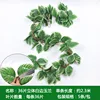 36 pétalos de magnolia tridimensionales con bordes blancos, 5 tiras