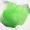 colorful Fruit green