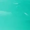 Turquoiseblue