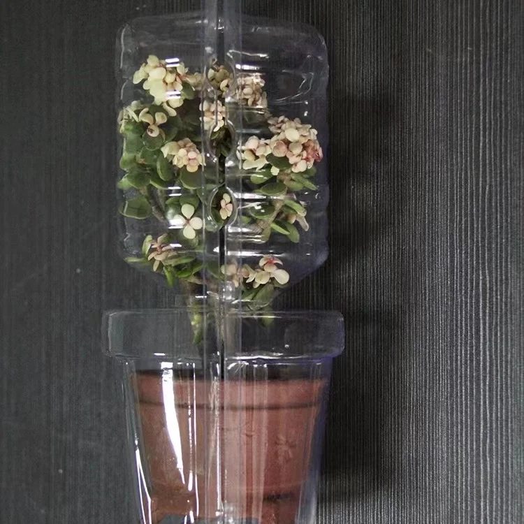 Plastic Clamshell Box For Potted Plants Blister Packing Box For Plants