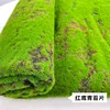 Fondo rojo con paneles de musgo verde (1*1 metro)