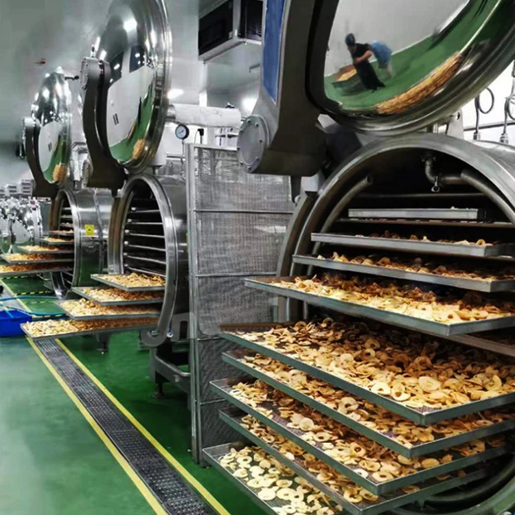 TCA Small Type Freeze Drying Lyophilizer Machine Industrial Fruit and Vegetables Vacuum Freeze Dryer