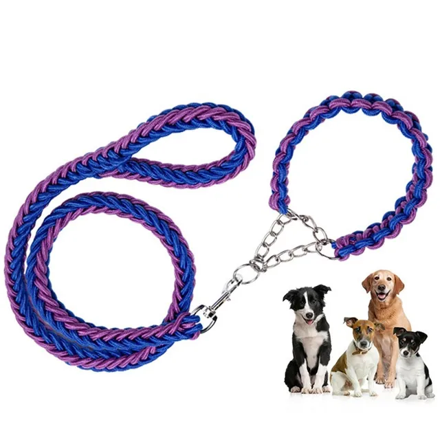 Amaz Braided Rope Pet Dog Collar Leash Nylon Chain Slip Lead Feather Best Seller Nylon Trade Assurance Sustainable 10 Sets Green