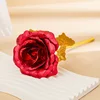Colorido 24cm Serie Oro Flor Oro Rojo