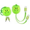 สายชาร์จเร็วแบบยืดหดได้ Green Frog 60W