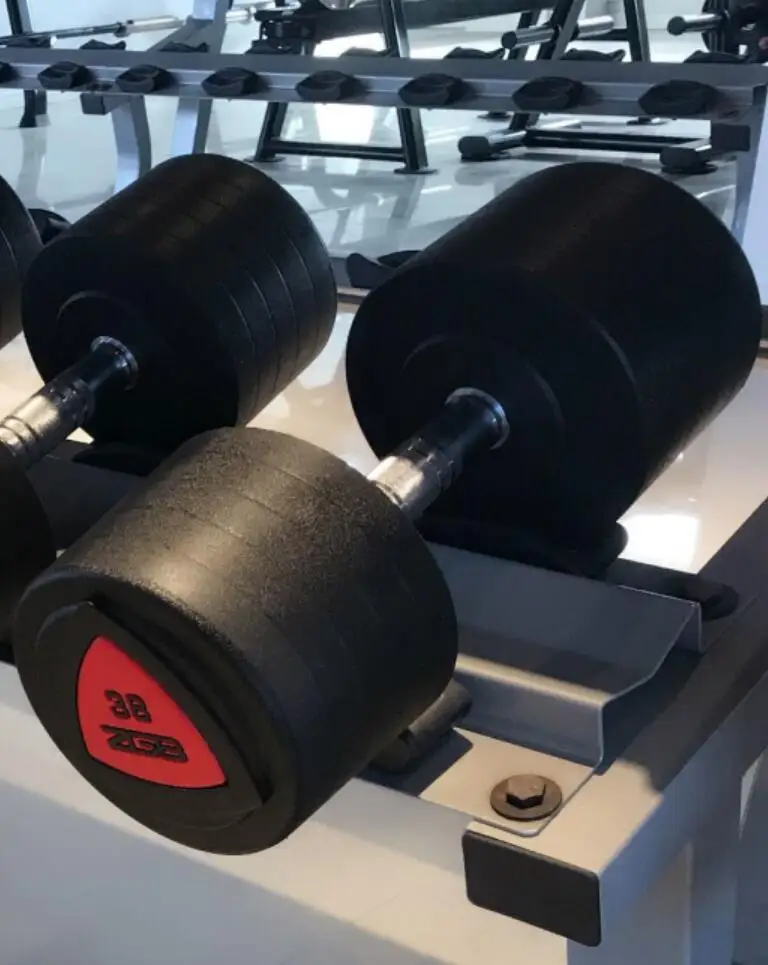 DZMC PU Coated Round Dumbbells Versatile Gym Equipment