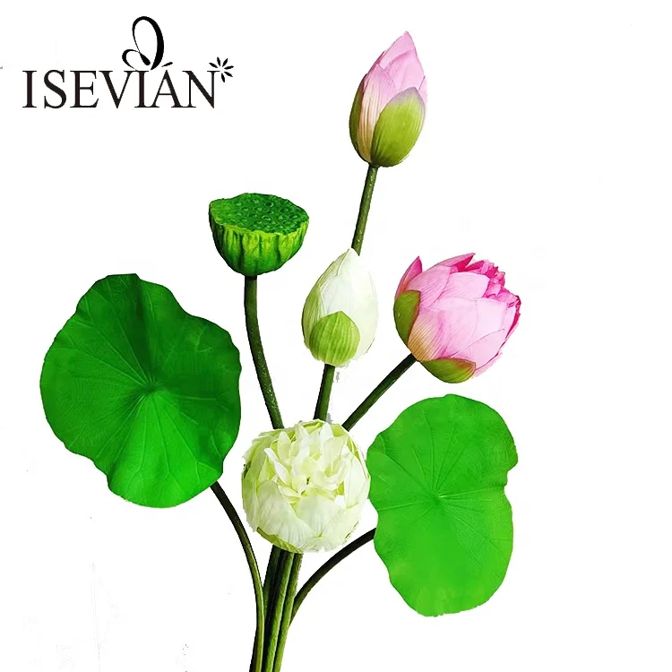 Isevian-flor De Loto Artificial De Tacto Real,Flor De Loto Rosa Grande -  Buy Calidad Real Toque Flores,Flores Artificiales Para Tumbas,Loto  Artificial Product on Alibaba.com