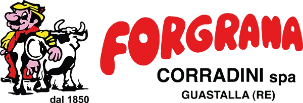 Надежный итальянский бренд высшего качества 1 кг свежего тертого гранулированного твердого сырого плавленого сыра в жестяной