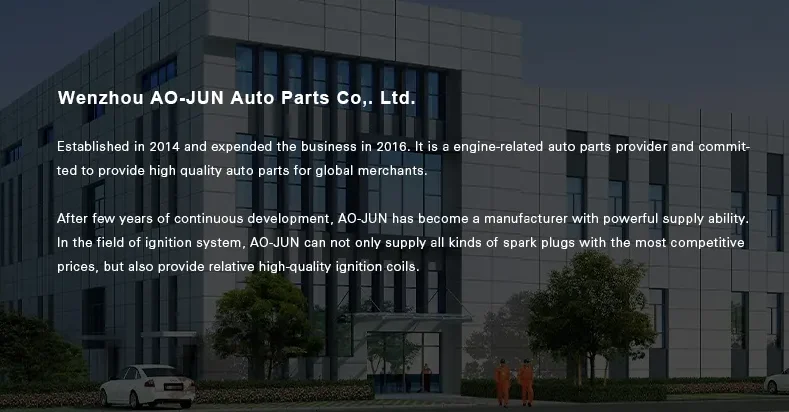 High Quality Bujia Iridium Spark Plug for Hyundai Models