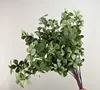 Andromeda verde corta / Enkianthus