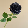 02-Negro