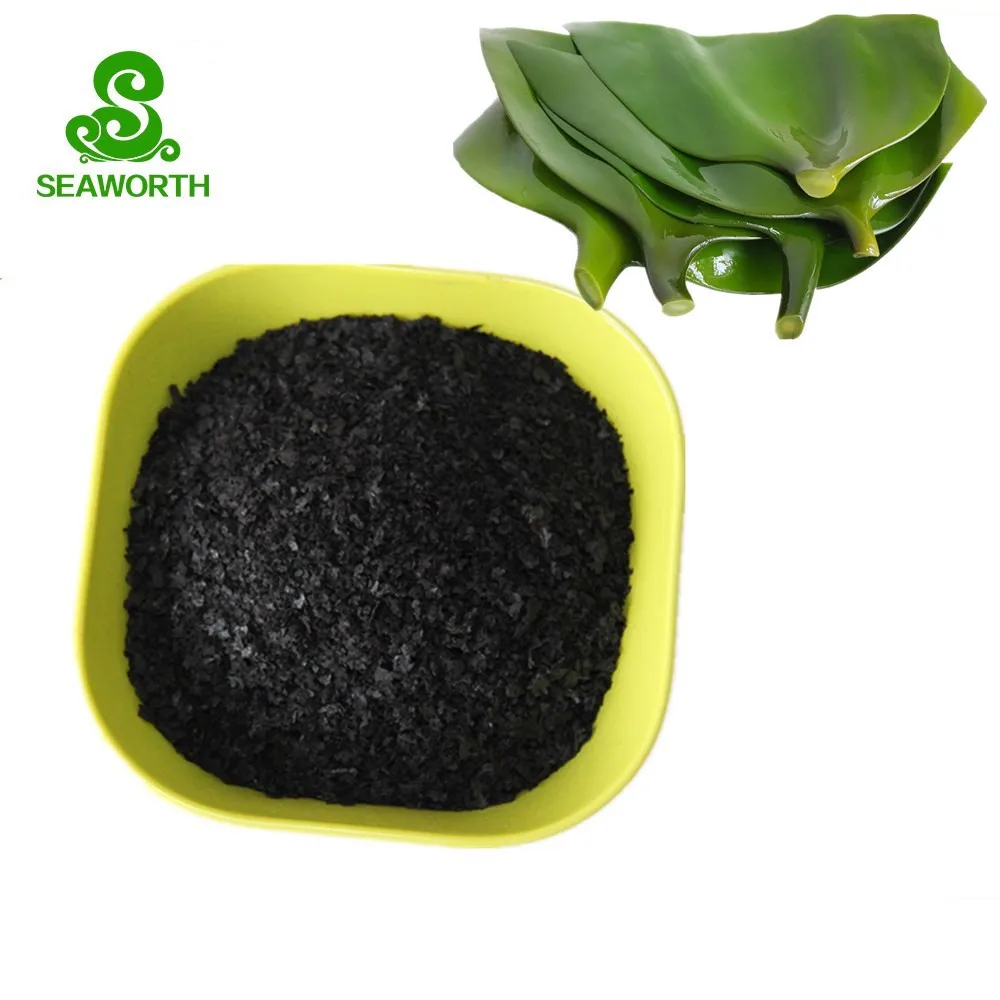 Natural Marine Algae Powder Seaweed Extract For Vegetable - Buy Marine ...