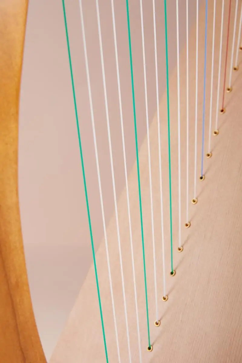 harp 19 (5).jpg