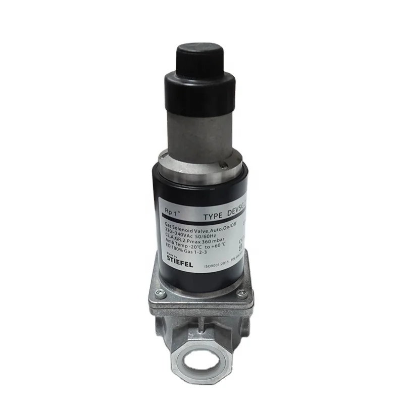 DEVSG Series Industrial Gas Burner Safety Valve 200mbar IP54 Protection High Temperature Shutoff OEM Customizable