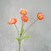 Orange clair