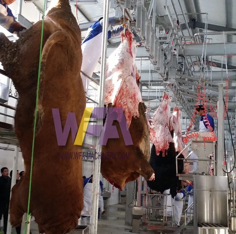 Large Slaughterhouse 250 Cattle Per Hour Halal Meat Processing Plant