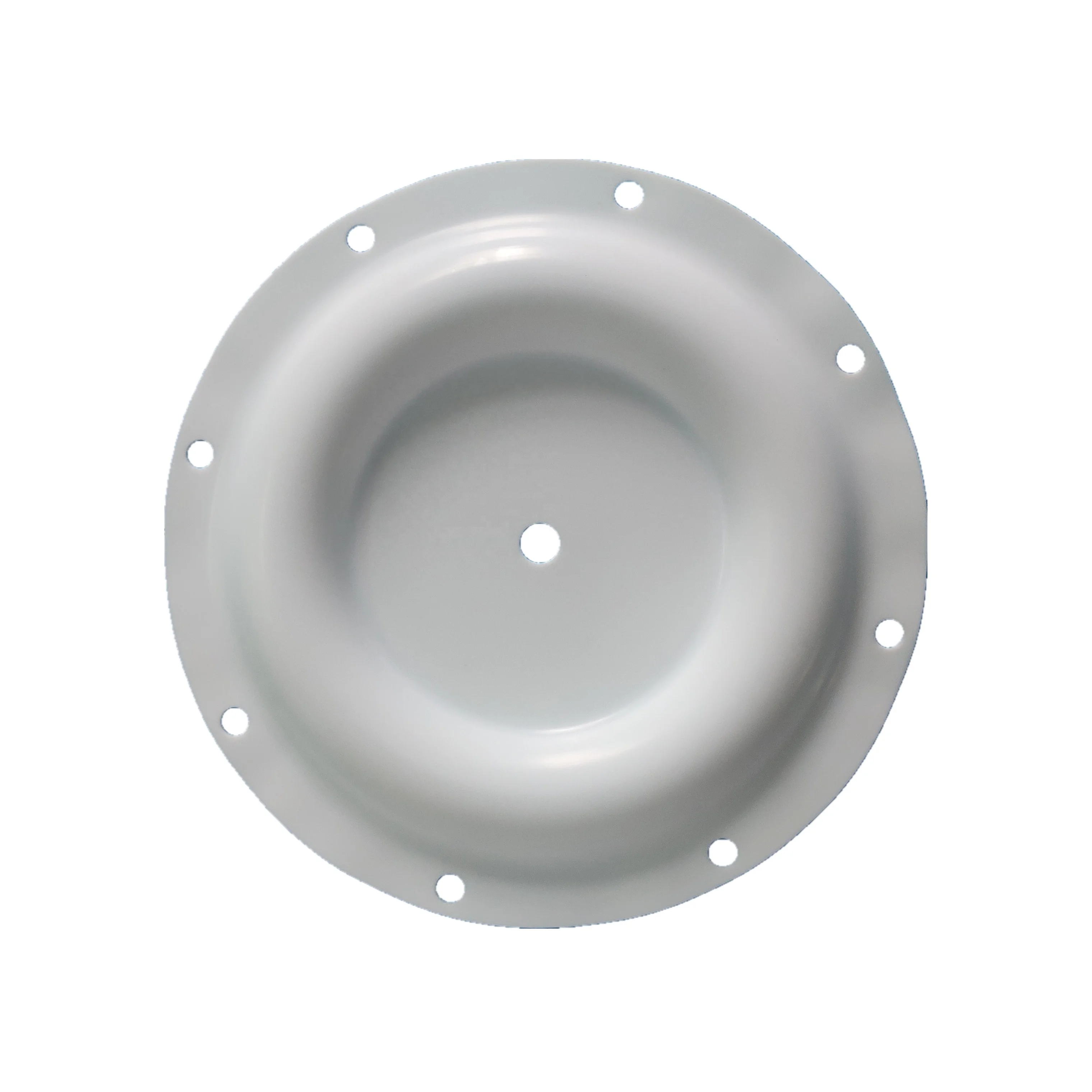 CF286.020.604 PTFE Diaphragm 